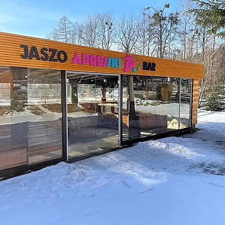 Jaszowianka For Värdshus Ustroń
